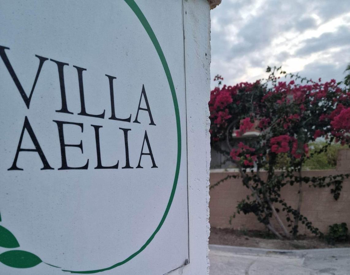 Aelia House Kefalos - Cozy & Quiet Екстер'єр фото